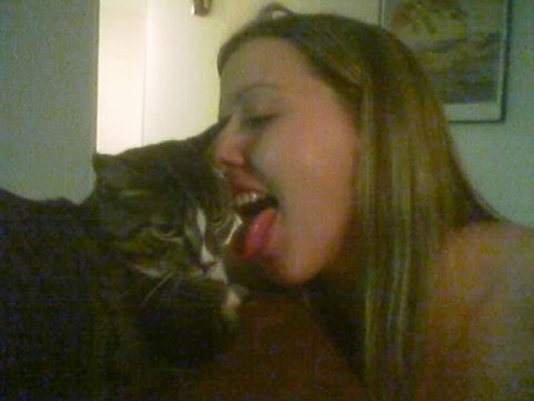 1989 Ford Bronco - A cat and a person are in the frame, with the person's tongue extended.