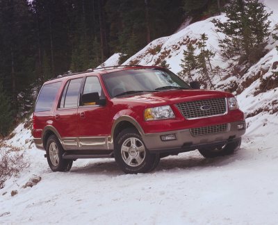2003 Ford Expedition - A red Ford Expedition is parked on a snow-covered slope, with trees visible on the hill behind it.