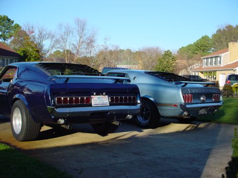 1970 Ford Mustang - Rear view of two classic Mustangs, a dark blue one in the foreground and a light blue one behind it.