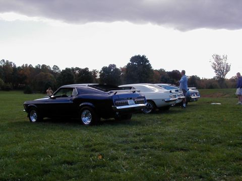 1970 Ford Mustang - Three 1970 Ford Mustangs gathered at an outdoor event.