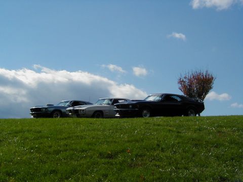 1970 Ford Mustang - A trio of vintage automobiles, one a 1970 Ford Mustang, are lined up on a sunlit grassy incline.