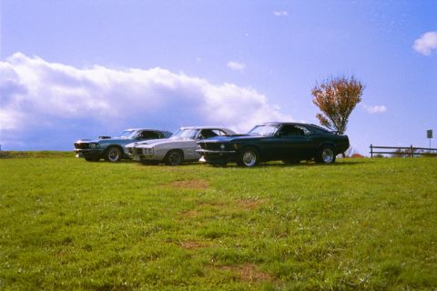 1970 Ford Mustang - Three classic muscle cars, including a 1970 Ford Mustang and a 1970 Pontiac Firebird, parked outdoors on a sunny day.