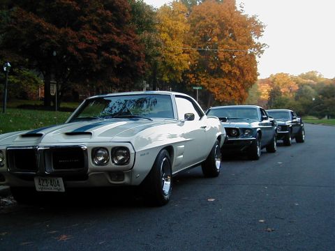 1970 Ford Mustang - A line of classic muscle cars, including a 1969 Pontiac Firebird, parked on a street during autumn.