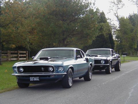 1970 Ford Mustang - Two Ford Mustangs, one blue and one black, are parked on a road with trees in the background.