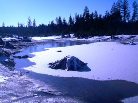 1987 Ford Bronco II - A winter scene depicts a frozen body of water with tree stumps emerging from the ice and snow.