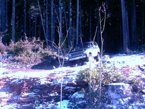 1987 Ford Bronco II - A 1987 Ford Bronco II navigates a snowy, wooded path.