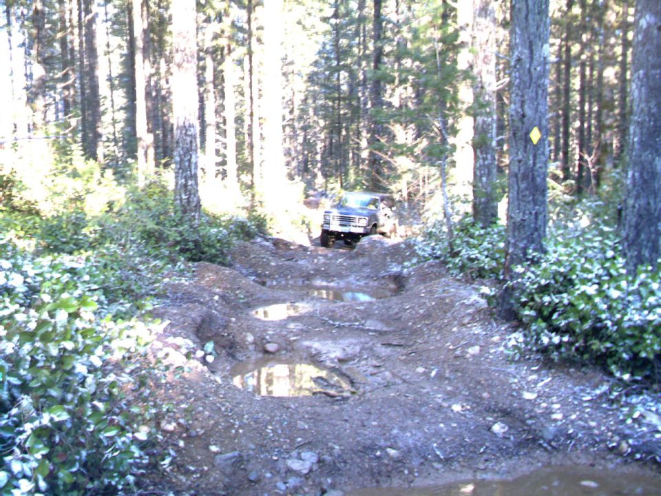 Truck driving on a muddy, rutted forest trail with puddles. Trees line both sides