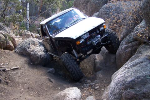 1981 Ford Bronco photo