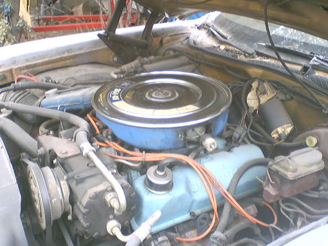 Blue Ford V8 engine bay with chrome air cleaner and orange plug wires