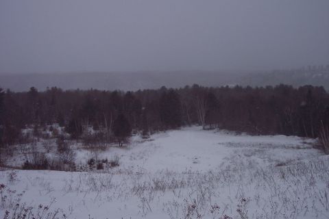 2000 Chevrolet Tahoe - Winter scene with snow-covered ground and trees under a cloudy sky. Supermotors.net logo visible.