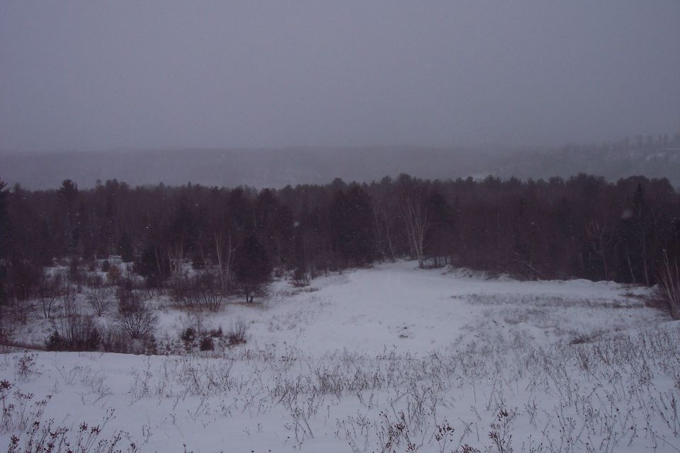 Snowy landscape with bare trees and a distant hazy horizon. Supermotors.net logo in the lower right
