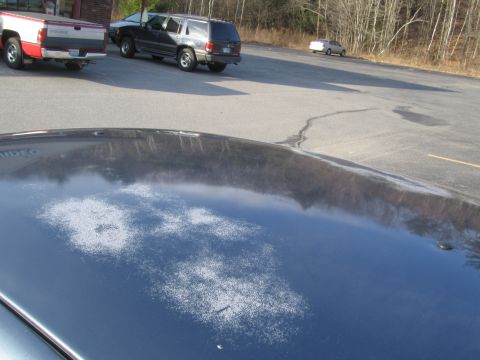 1991 Ford LTD Crown Victoria - The foreground shows a car's hood with significant paint damage, while other vehicles are parked in the background.