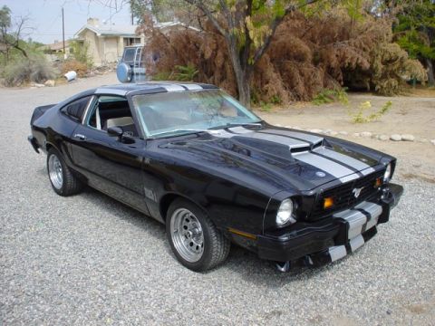 1978 Ford Mustang II - Black 1978 Ford Mustang II with silver racing stripes parked on a gravel lot.