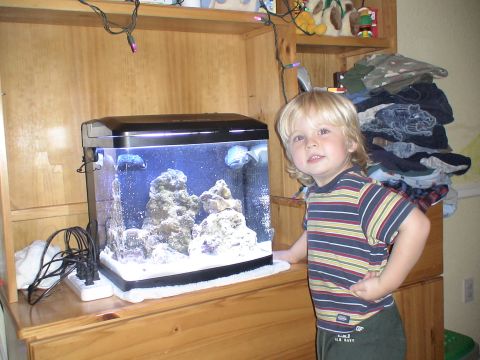 1993 Ford C-350 (Centurion Conversions) - A young child stands beside a lit aquarium filled with rocks and fish.