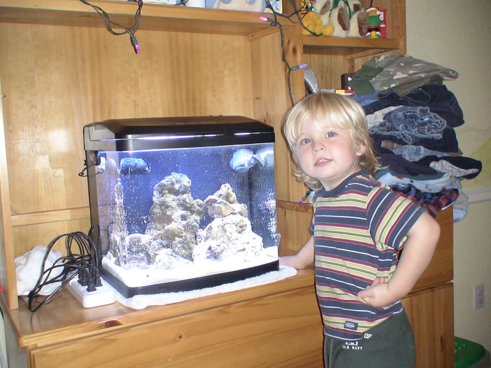 Young child standing next to a small aquarium on a wooden shelf