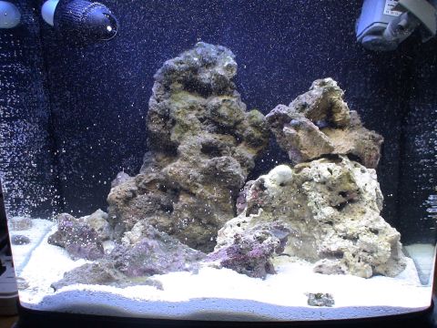 1993 Ford C-350 (Centurion Conversions) - Aquarium scene live rock and sand, with water circulation equipment visible.