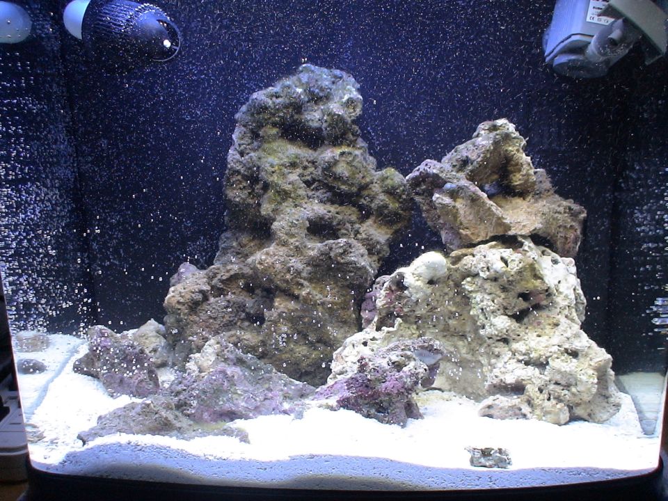 Saltwater aquarium with live rock stacks, white sand, and streams of air bubbles