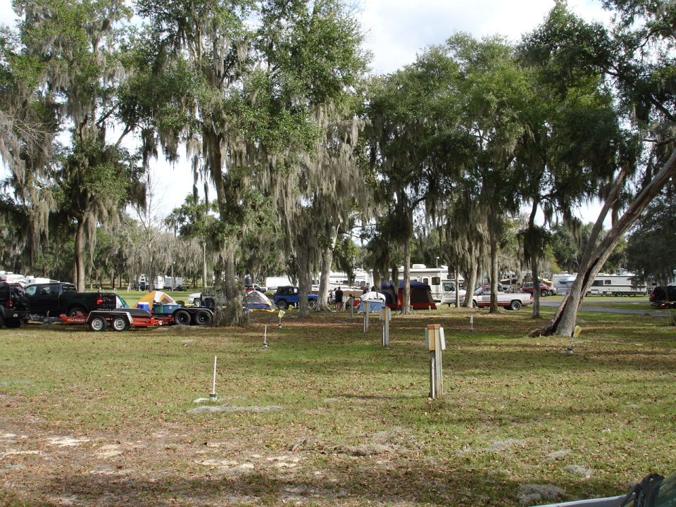 campsite with RVs, tents, and trucks under mossy trees