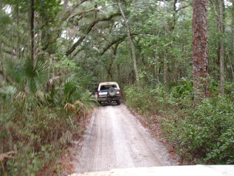 1989 Ford Bronco - A white SUV travels down a dirt road surrounded by dense forest foliage.