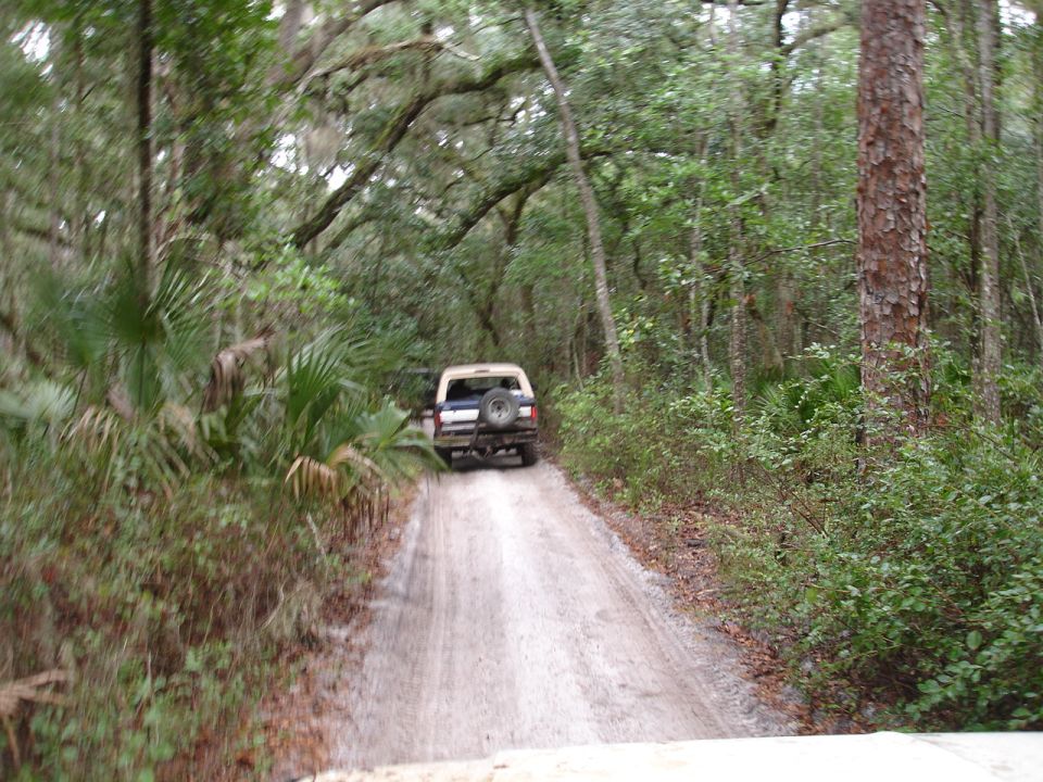 White SUV with spare tire on rear driving on a dirt road through a forest
