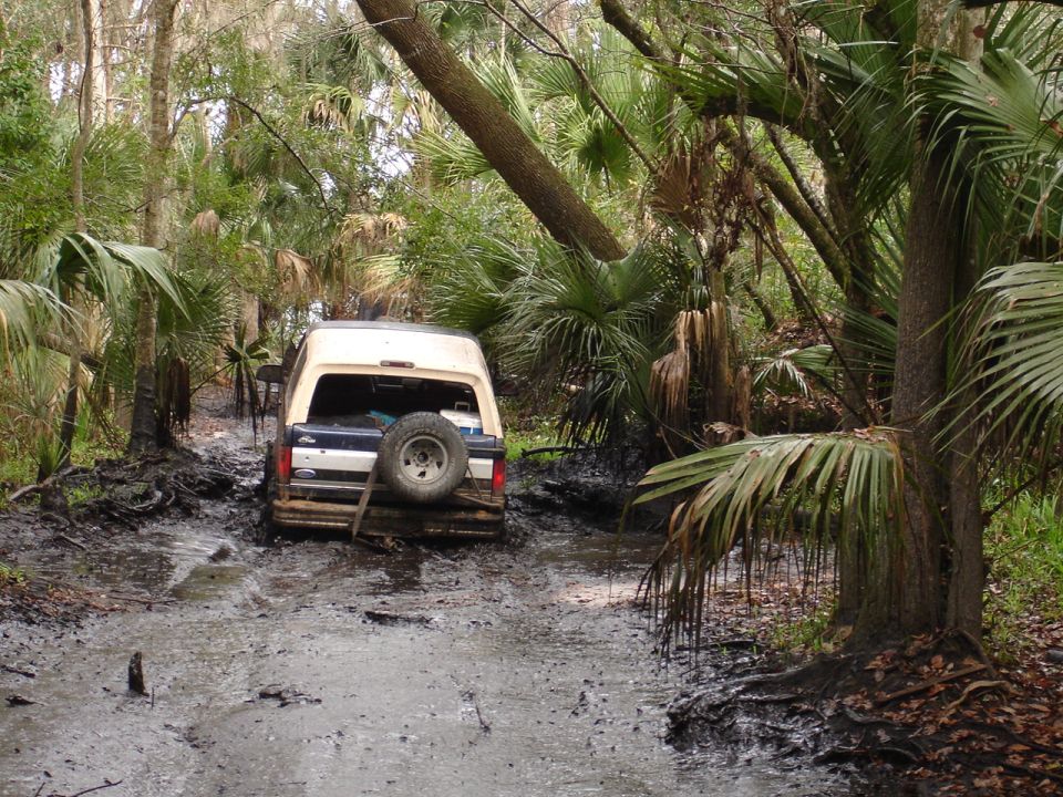 White and blue 1989 Ford Bronco stuck in mud, rear view with spare tire
