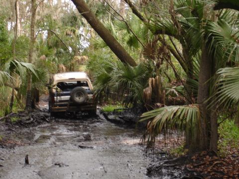 1989 Ford Bronco - A vehicle navigates a muddy path through a dense, tropical forest environment.