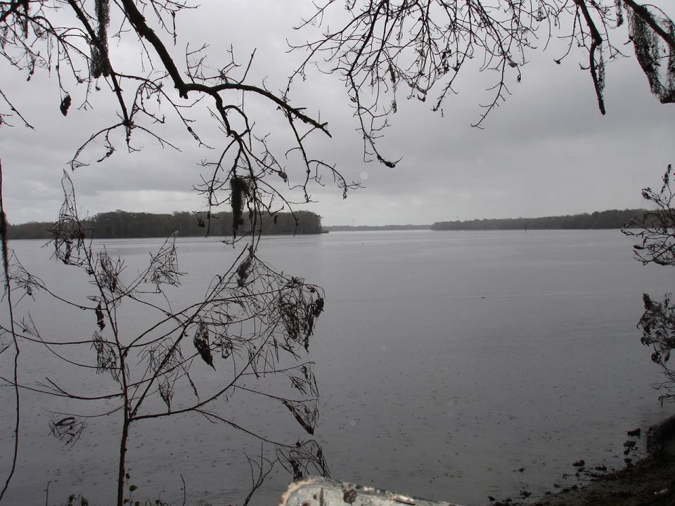 Overcast sky over a wide body of water, framed by bare tree branches