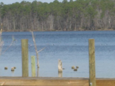 1986 Ford Bronco - A tranquil water scene wooden posts and a distant treeline.