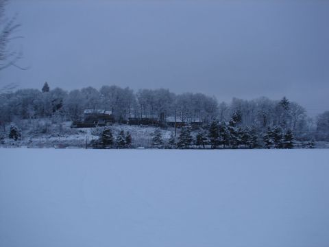 1996 Ford Bronco - A winter scene with snow-covered trees and houses under a cloudy sky.