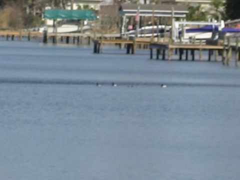 1986 Ford Bronco - A waterfront scene shows several boats moored at a marina with docks and buildings visible.