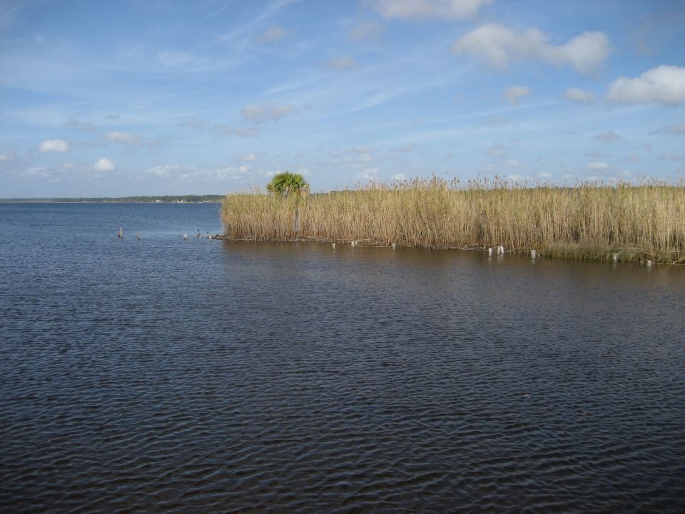 Water and tall marsh grass under a partly cloudy sky