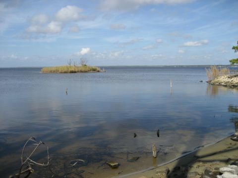 1986 Ford Bronco - A tranquil waterscape with a distant island and reeds along the shore.