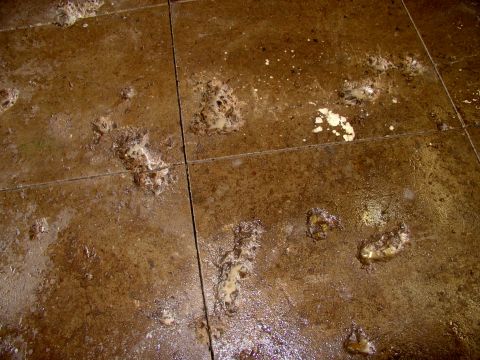 1986 Ford Bronco - Over and above the radiant floor heating, the salt damage was another compelling reason for replacing the floor