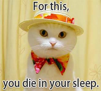 1989 Ford Probe - A cat dressed in a hat and bowtie is shown with text that reads 'For this, you die in your sleep'.