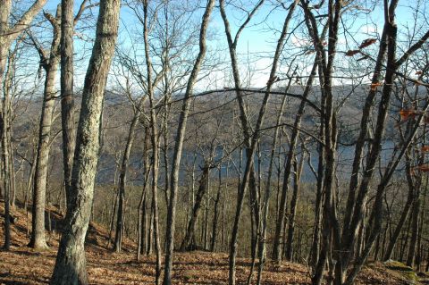 2001 Yamaha WOLVERINE - A view through bare trees reveals a calm body of water surrounded by hills.