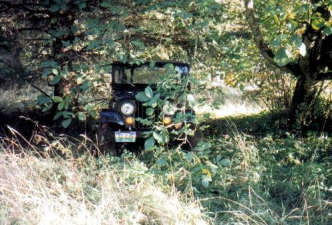 1991 Ford Bronco - A vintage black jeep is seen partially obscured by dense foliage and trees in a wooded area.