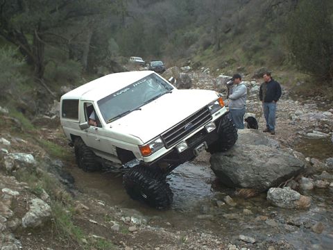 1991 Ford Bronco - Frank rains