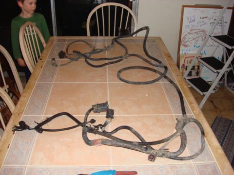 1983 Ford Bronco - This is the stoce fuel tank and guage harness. The donor had 2 fuel tanks. i going to remove the not needed wires and make a clean new harn…