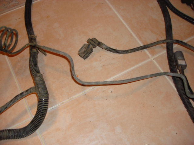 here is the rear anti lock sensor or tone ring counter.
