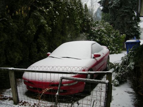 1996 Ford Probe - A red 1996 Ford Probe sits covered in snow, partially obscured by a wire fence and surrounding greenery.
