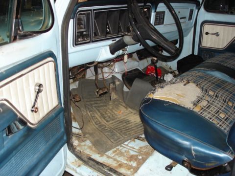1977 Ford F-150 photo