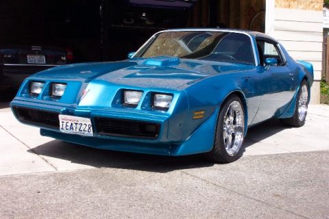 1979 Pontiac Firebird photo