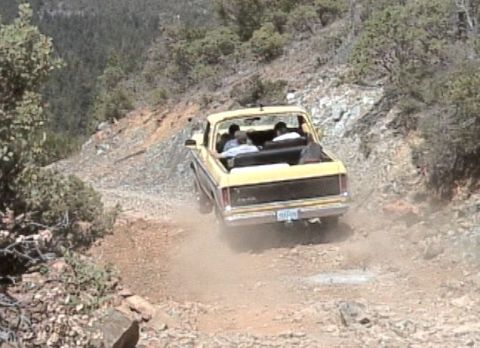 1979 Ford Bronco “Yellow Jacket”