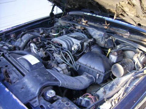 1982 Ford Crown Victoria LTD - The engine hasn't changed much. Still runs smooth as a clock. It may be making its way into the '82...