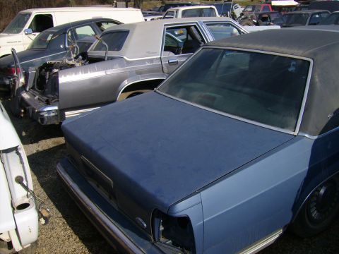 1982 Ford Crown Victoria LTD - All close together. From left: '92 GM, '87 CV, '89 CV