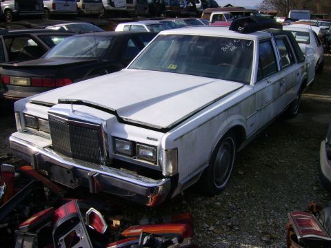 1982 Ford Crown Victoria LTD - '88 Town Car. Kind of Moldy. White/blue interior.
