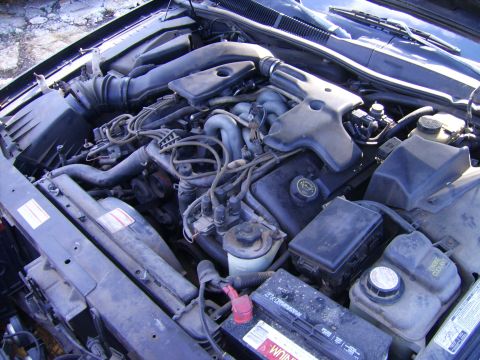 1982 Ford Crown Victoria LTD - Ooooohh yeah 4.6L 4V Goodness