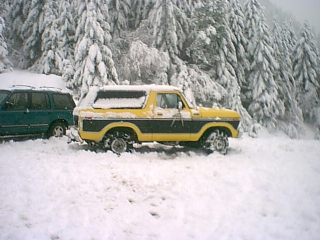 Yellow and black Ford Bronco parked in deep snow with a green SUV to its left, snow-covered trees in background