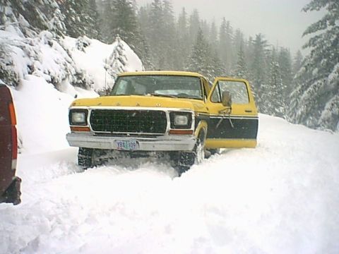 1979 Ford Bronco - A yellow and black pickup truck is stuck in the snow on a wooded road, with the driver's door open.
