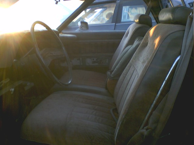 Car interior with dusty tan seats and steering wheel, sun glare on left